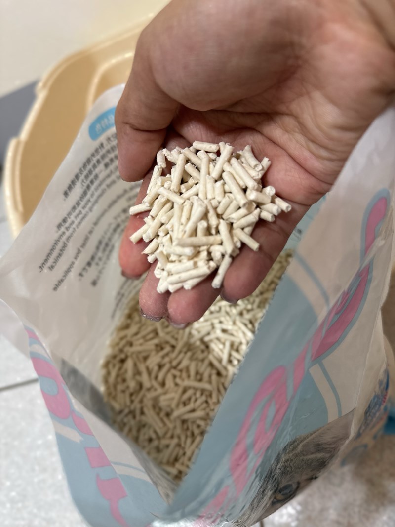 試用